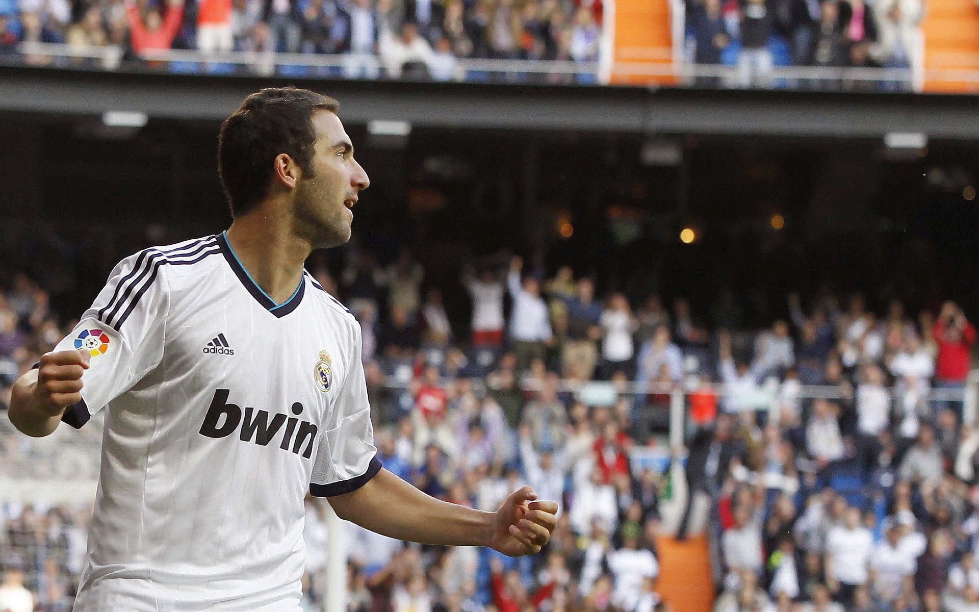 意甲焦点战,鹈鹕掀翻深圳队,一场跨越时空的足球对话